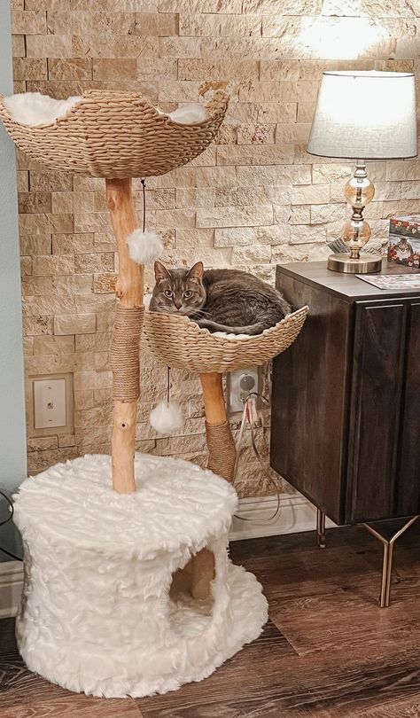 The Cento Cat Tree from Mau Pets Mau Cat Tree, Fancy Cat Tree, Aesthetic Cat Tree, Prettiest Cat, Mau Cat, Unique Cat Trees, Katt Grejer, Modern Cat Furniture, Cat Towers