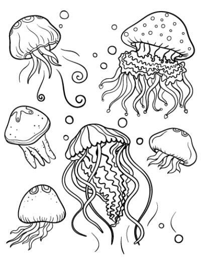 jellyfish coloring page Jellyfish Coloring Page, Jellyfish Coloring, Fish Coloring Page, Jellyfish Art, Rainbow Canvas, Printable Animals, Ocean Crafts, Creature Drawings, Animal Coloring