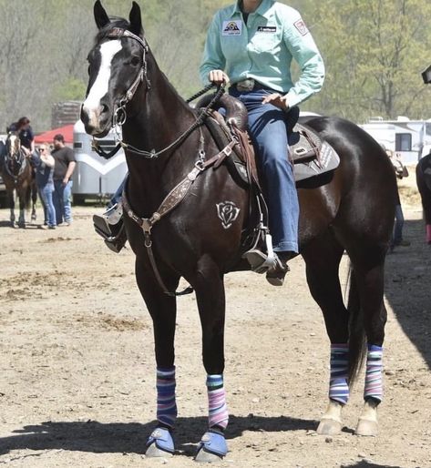 Black Barrel Horse, Horse White, Dream Horse Barns, Horse Sketch, Horse Ideas, Barrel Horse, Dream Horse, Rodeo Life, Tack Sets