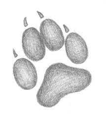 Fofo Paw Print Drawing, Ako Kresliť, Wolf Paw Print, Wolf Paw, Wolf Animal, Tiny Tattoo, Wolf Drawing, Animal Drawing, Easy Doodles Drawings