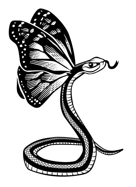 Snake And Butterfly, Drawing Butterfly, Spot Illustration, Composition Drawing, Fantasy Creature, Butterfly Drawing, Snake Design, A Snake, Butterfly Art