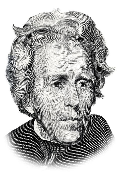 Andrew Jackson. Isolated on white , #Ad, #Jackson, #Andrew, #white, #Isolated #ad Red Aesthetic Gif, 100 Dollar Bill Tattoo, Black And Red Aesthetic, Twenty Dollar Bill, Light Tattoo, Celebrity Photography, Andrew Jackson, Jackson's Art, White Illustration