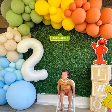 This birthday theme is TWO CUTE not to share! The colors used in this Sesame Street Balloon garland are bold and a little retro, perfect for so many different occasions! Birthdays, retro bridal showers, baby showers, and more! @modernlivingmama created this perfect Sesame Street birthday theme backdrop for Brooks! Seriously, head to her profile to see all of the fun party details! #two #2ndbirthday #twoyearold #secondbirthday #sesamestreet #sesamestreetbirthday #birthdayparty #birthdayparty... Red And Orange Balloon Garland, Sesame Street Theme Birthday Party, Neutral Sesame Street Party, Sesame Street Photo Backdrop, Sesame Street Birthday Balloons, Pastel Sesame Street Party, Vintage Sesame Street Party, Modern Sesame Street Party, Sesame Street Birthday Backdrop