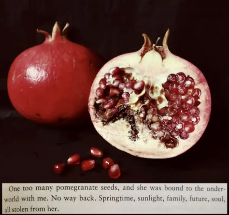 Story Of Persephone, Pomegranate Aesthetic, Shadow Realm, Heart Of Darkness, Pomegranate Art, I Relate, Female Hysteria, Spring Sunshine, In The Shadows