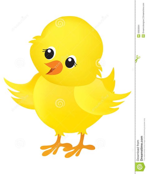 Chick Illustration, Easter Chick, Baby Chick, White Stock, Free Clipart, Easter Chicks, Baby Chicks, Background Illustration, Free Baby Stuff