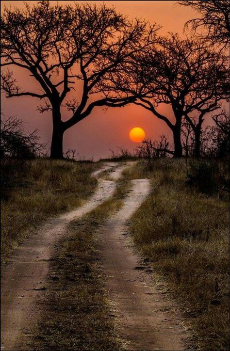 Via FB Country coffee and sunshine Justice Quotes, Kruger National Park, Dirt Road, Alam Yang Indah, Sunset Beach, Africa Travel, Beautiful Sunset, Sunrise Sunset, Beautiful World