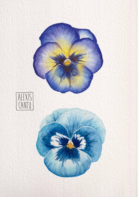 Learn Watercolor Painting, Cool Tattoo, Watercolor Flower Art, Watercolor Art Lessons, Arte Inspo, Flower Art Painting, Watercolor Inspiration, Art Inspiration Painting, الرسومات اللطيفة