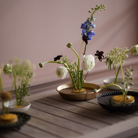 Floral Frogs, Flower Displays, Ikebana Flower Arrangement, Ikebana Arrangements, Ikebana Flower, Ikebana Vases, Floral Arranging, Japanese Flowers, Flower Frog