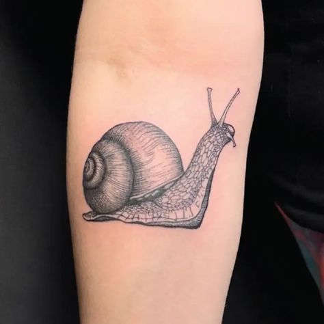 Black & Grey Realistic Snail Sketch Insect Tattoo Idea & Design on Arm Realistic Snail Sketch Tattoo Done At Snail Sketch, Bald Head Tattoo, Tiger Outline, Snail Tattoo, Insect Tattoo, Sketch Tattoo, Head Tattoos, Idea Design, Tattoo Idea