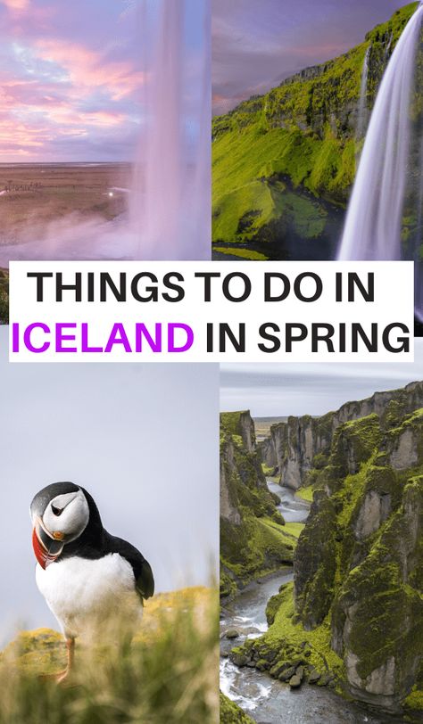 Iceland In Spring, Iceland April, Iceland March, Iceland In March, Iceland In April, Iceland In May, Iceland In June, Traveling Activities, Beach Photography Friends