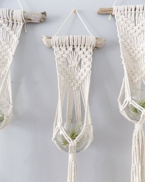 Beginning Macrame, Driftwood Plant Hanger, Driftwood Plant, Diy Macrame Wall Hanging, Art Macramé, Pola Macrame, Wall Plant Hanger, Macrame Plant Hanger Tutorial, Macrame Wall Hangings