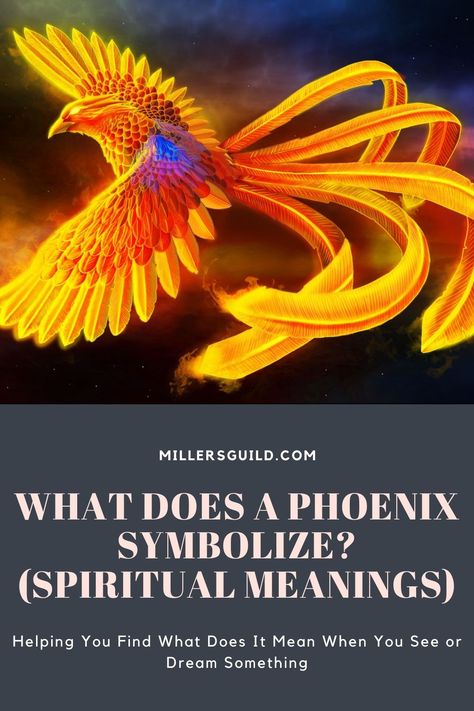 What Does a Phoenix Symbolize? (Spiritual Meanings) Phoenix Meaning, Phoenix Symbolism, Phoenix Bird, Phoenix Tattoo, Spiritual Meaning, Animals Of The World, Healing Powers, Spirit Animal, Simple Tattoos