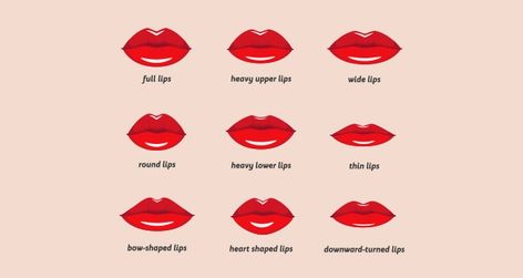 Types Of Lips Shape, Lip Surgery, Heart Shaped Lips, Lip Types, Matte Lip Stain, Makeup Drawing, Kissing Lips, Small Lips, Creamy Lipstick