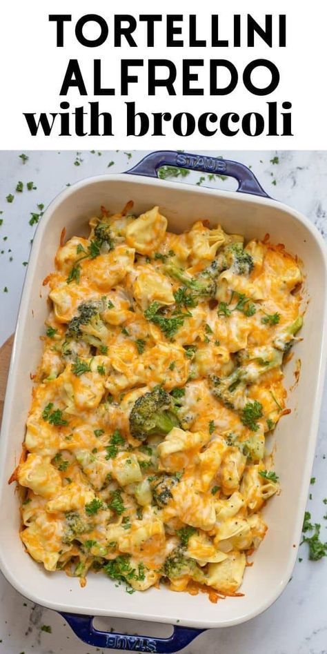 Broccoli And Tortellini, Easy Baked Tortellini, Baked Cheese Tortellini, Baked Tortellini Alfredo, Alfredo With Broccoli, Cheese Tortellini Recipes, Baked Tortellini, Tortellini Alfredo, Broccoli Pasta Bake