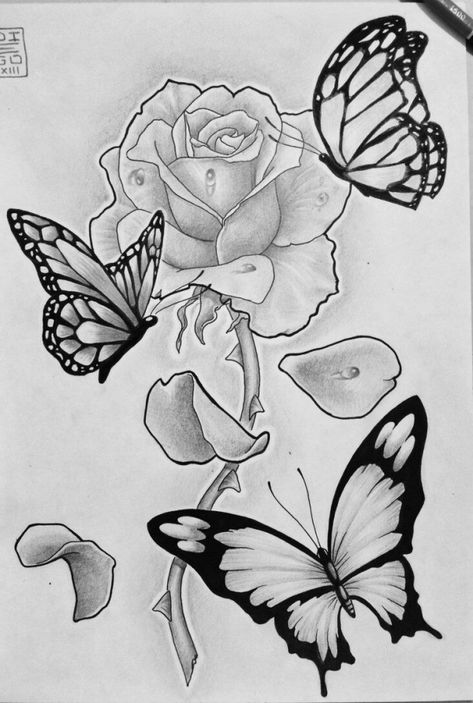 40 Beautiful Simple Butterfly Drawings In Pencil - Hobby Lesson Different Butterfly Tattoo Wings, Rose And Butterfly Painting, Butterflies And Roses Drawing, Flower Drawing With Butterfly, Roses And Butterfly Drawing, Butterfly Tattoo With Words In Wings, Pencil Drawings Of Butterflies, Rose Pictures Drawing, Cool Butterfly Drawing