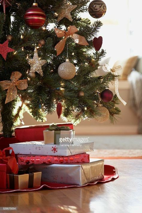 Christmas Gift Under Tree, Gift Under Christmas Tree, Christmas Gifts Under Tree, Gifts Under Christmas Tree, Gifts Under Tree, Gifts Under The Christmas Tree, Christmas Gift Photography, Christmas Fun Facts, Under Christmas Tree