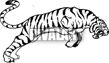 Leaping tiger illustration Jumping Tiger, Cool Tiger, Chakra Tattoo, Tiger Illustration, Easy Tiger, Tiger Design, Tiger Art, Cover Art Design, Tiger Tattoo