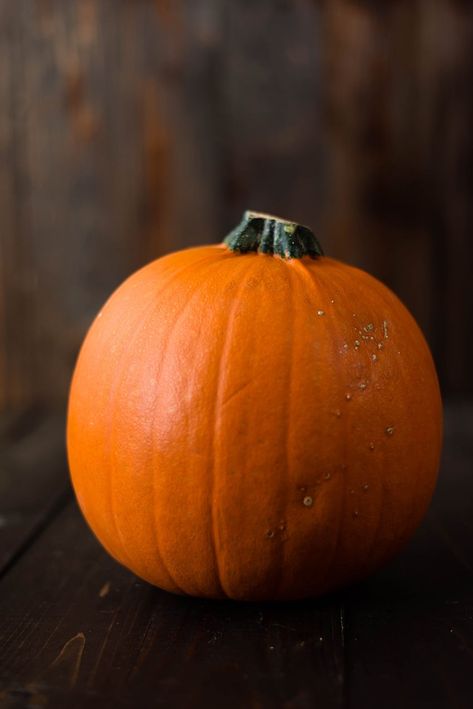 Image of a whole pie pumpkin or sugar pumpkin that is ready to be sliced in half to make pumpkin puree - sugar pie pumpkins are the best for making pumpkin puree Pumpkin Pie With Fresh Pumpkin, Fresh Pumpkin Puree, Make Pumpkin Puree, Homemade Cafe, Fresh Pumpkin Pie, Pumpkin Photography, Reading Readiness, Pumpkin Pie Recipe Easy, Pie Pumpkin