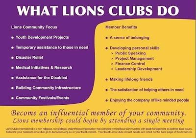 Leo Club, Lion Icon, Lions Clubs International, Lions International, Club Photos, Social Media Posting, High School Organization, Meeting Agenda Template, Lions Club