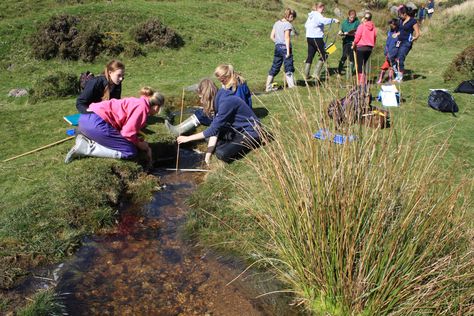 Fieldwork at the River Harbourne, Dartmoor, Devon Geography Fieldwork, Entangled Life, Granola Core, Wildlife Biology, Dartmoor Devon, College Goals, 5 Year Plan, 2025 Year, Phd Life