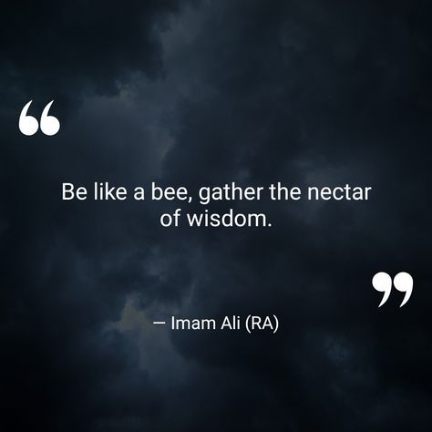 Be like a bee, gather the nectar of wisdom. — Imam Ali (RA)  (Islamic Inspirational Quotes — com.walhalla.islamicquotes)  ⛪️	🔥	🕊️	✝️	🌈	🌟	🔯	🙏	🚶‍♂️	🔔	⚖️	💒 #LoveandCompassion #ImamAli(RA) Sayings Of Imam Ali, Eating Quotes, Imam Ali Quotes, Ali Quotes, Imam Ali, Islamic Inspirational Quotes, Prayer Quotes, Pilgrimage, Islamic Quotes