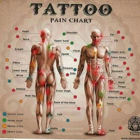 Front Neck Tattoo, Pain Chart, Words Tattoo, Polynesian Tattoo Designs, Tattoo Trend, Gemini Tattoo, Samoan Tattoo, Chinese Tattoo, Neck Tattoo For Guys