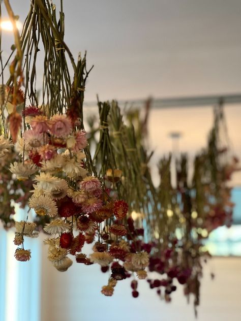 Fall Outdoor Party, Freeze Dried Flowers, How To Dry Flowers, Outdoor Party Decor, Straw Flowers, Drying Flowers, Wedding Flowers Inspiration, Long Stem Flowers, Bedroom Mood Board