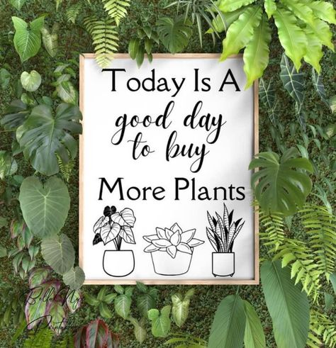 Vision Board Design, Plant Quotes, Plants Quotes, Today Is A Good Day, Coffee Plant, Plant Shop, Garden Quotes, Canvas Bags, Quote Svg