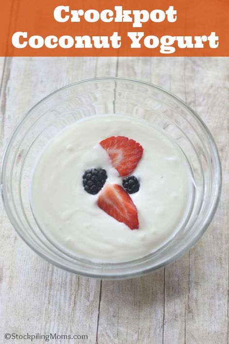 Vanilla Yogurt Recipes, Coconut Yogurt Recipe, Homemade Coconut Yogurt, Homemade Yogurt Recipes, Kids Yogurt, Garage Security, Coconut Milk Yogurt, Beef Gelatin, Yogurt Breakfast