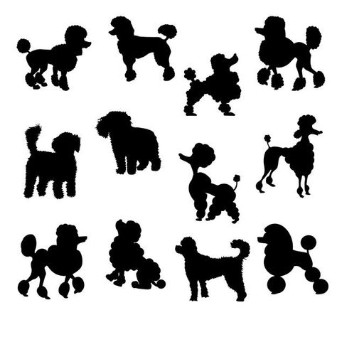 Dog Paw Cartoon, Poodle Silhouette, Paw Cartoon, Poodle Tattoo, Poodle Drawing, Miniature Poodle Puppy, Hunting Dogs Breeds, Dog Stencil, Different Types Of Dogs