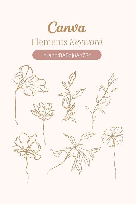 Canva Elements Keyword Line Art Illustration Boho Sun Elements, Canva Botanical Elements, Canva Wedding Elements Keyword, Canva Modern Elements, Elegant Canva Element, Boho Canva Elements, Canva Elegant Elements, Canva Elements Keyword Wedding, Canva Line Elements