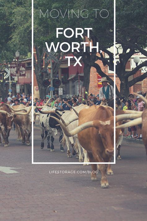 Fort Worth Neighborhoods, Moving To Texas Tips, Hiking In Texas, South Usa, Camping In Texas, Extra Space Storage, Texas Living, Self Storage Units, Texas Roadtrip