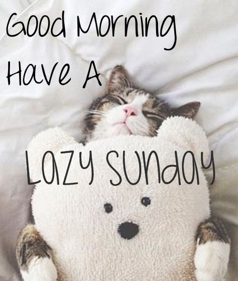 Lazy Sunday Quotes, Funny Sunday, Sunday Humor, Sunday Quotes Funny, Sunday Pictures, Sunday Images, Sunday Love, Weekday Quotes, Weekend Quotes