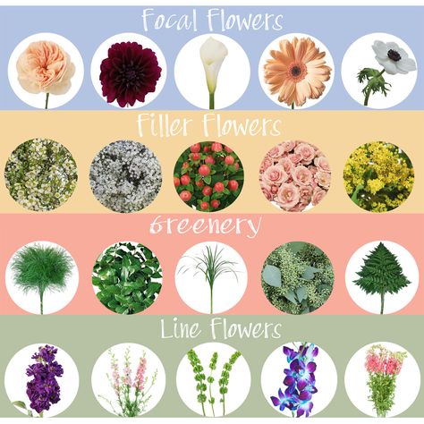 130+ Types of Flowers for Wedding Bouquets | FiftyFlowers Types Of Oranges, Different Kinds Of Flowers, Wedding Flower Guide, Flower Chart, Flower Identification, Most Popular Flowers, List Of Flowers, Different Types Of Flowers, Flower Guide