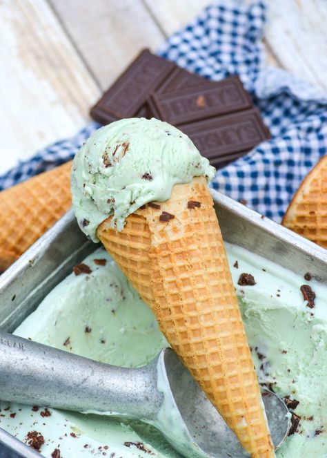 Ice Cream Mint, Mint Food, Chocolate Mint, Homemade Sweetened Condensed Milk, Mint Chocolate Ice Cream, Mint Chip Ice Cream, Mint Chocolate Chip Ice Cream, Mint Ice Cream, Frozen Dessert Recipe