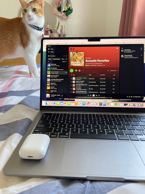 Spotify . . . . . . . . . . . . . . . . #cats #catsofinstagram #catshuggingcats #gingercat #macbook #macm2 #macbookm2 #laptop #apple #airpods #aesthetics Laptop Aesthetic, Cat Hug, Air Pods, Ginger Cats, Apple Airpods, Cats Of Instagram, Macbook, Laptop, Bedroom