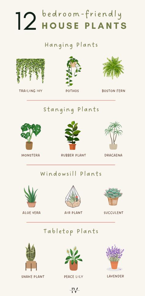 Looking for bedroom plants decor ideas and inspiration? Improve air quality, diffuse toxins, and release oxygen with these 12 bedroom-friendly house plants! Discover plant ideas for bedrooms and how to style them on the blog!  Please note: Check the individual suitability of these plants with pets or children, as some of them may be toxic if placed within reach. Plants To Keep In Bedroom, Room Decoration With Plants, Aesthetic Room Ideas With Plants, Plants For Room Decor, White Room With Green Plants, Room Decor With Plants Bedrooms, Plant On Wall Decor, Minimalist Plants Decor, Interior Plant Decor