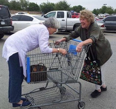 Playful Grannies People Having Fun, Old Age, Crazy People, Old People, Best Friends Forever, Parking Lot, Growing Old, Friends Funny, Friends Forever