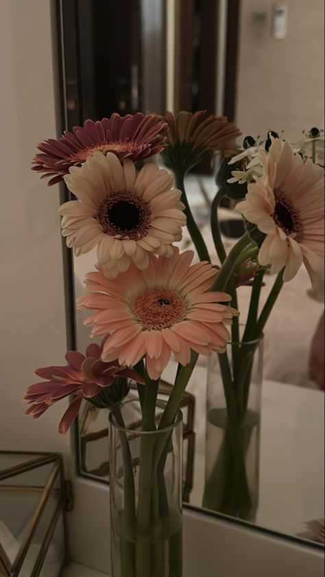 Gerbera Daisy Aesthetic, Art Galleries Design, Gerbera Flower, Pretty Wallpapers Tumblr, Vintage Flowers Wallpaper, Nature Instagram, Nothing But Flowers, Flower Arrangements Diy, Floral Nursery