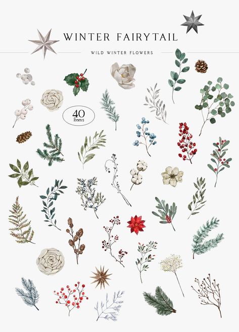 A set of 12 watercolor illustrations of winter greenery, perfect for adding a touch of nature to your holiday cards, gift wrap, or home Leaf Christmas Tree, Winter Greetings, Watercolor Autumn Leaves, Christmas Stock Photos, Winter Greenery, Winter Watercolor, Watercolor Set, Floral Drawing, Nature Drawing