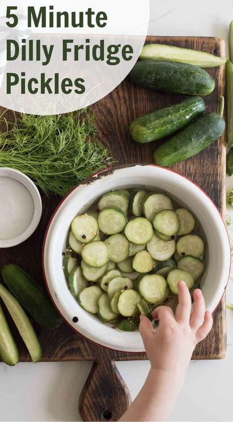 Home Made Pickles Recipe, Cucumbers In Vinegar, Recipes Illustration, Quick Pickle Recipe, Refrigerator Pickles Dill, Homemade Pickles Dill, Pickle Recipes Homemade, Vinegar Cucumbers, Quick Healthy Snacks