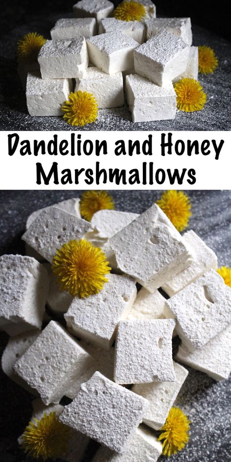 Marshmallows No Corn Syrup, Dandelion Honey, Edible Flowers Recipes, Wild Food Foraging, Foraging Recipes, Foraged Food, Recipes With Marshmallows, Homemade Marshmallows, Herbal Recipes