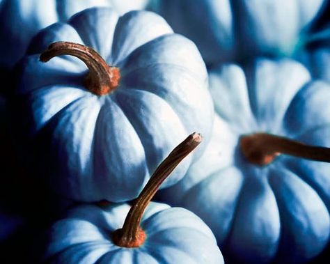 Backyard Decorations, Pumpkin Photography, Teal Wall Art, Blue Pumpkin, Color Celeste, Blue Wall Decor, Blue Pumpkins, Rustic Blue, Rustic Kitchen Decor