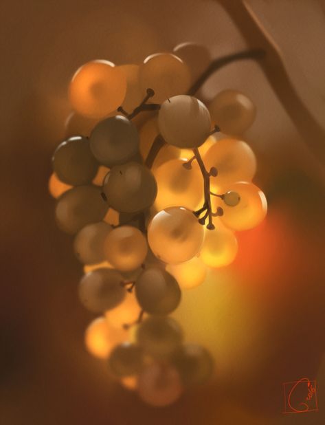 Grapes by GaudiBuendia on DeviantArt Wine Photography, Close Up Photography, Purple Grapes, Passion Project, Children Book Cover, Surface Design, Social Community, Pomegranate, The Creation