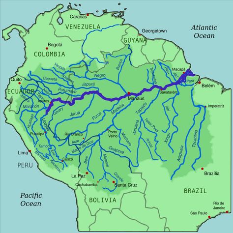 Sistema fluvial del Amazonas Rainforest Map, Yanomami Tribe, South America History, South America Map, Ecuador Travel, Physical Geography, Geography Map, River Basin, Amazon River