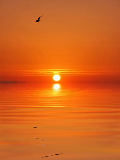 https://flic.kr/p/oTMb3B | Orange sea. | Sunrise across the bay with a little help from photoshop on the water foreground. Water Sunset, Orange Water, Orange Moon, Sunset Sea, Sky Pictures, Orange Sky, Orange Aesthetic, Orange Wallpaper, West Michigan