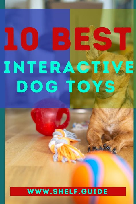 If you are on the hunt for ideas and suggestions for the best interactive dog toys, then this is the place to look. Dogs need mental and physical exercise to thrive, which is why creative toys… More Hyperactive Dog, Dog Toys For Boredom, Hyper Dog, Dog Toys Indestructable, Tough Dog Toys, Best Dog Toys, Dog Enrichment, Creative Toys, Dog Games