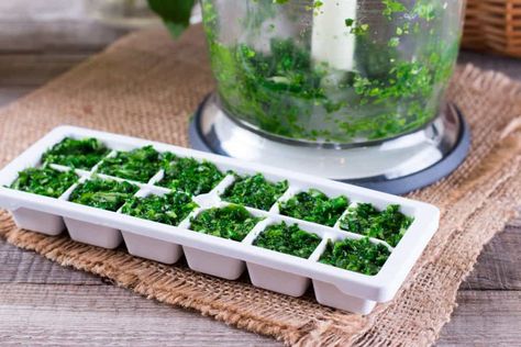 Freezing cilantro is a great way to preserve this delicate herb. We’ll show you three methods for how to freeze cilantro and how to use it in future recipes. Freeze Cilantro, Herbs For Inflammation, Freezing Cilantro, Ice Cube Tray Hacks, Creative Ice Cubes, Freezing Fresh Herbs, Leftover Wine, Making Baby Food, Pasta Al Pesto