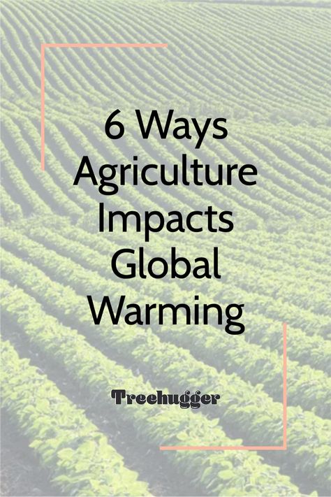 Sure, agriculture provides us with the food we all eat every day. But do you know how those agricultural practices impact global warming? Carbon Sequestration, Agricultural Sector, Agricultural Land, Agricultural Practices, Sustainable Agriculture, Sustainable Practices, Plant Roots, Organic Matter, Agriculture