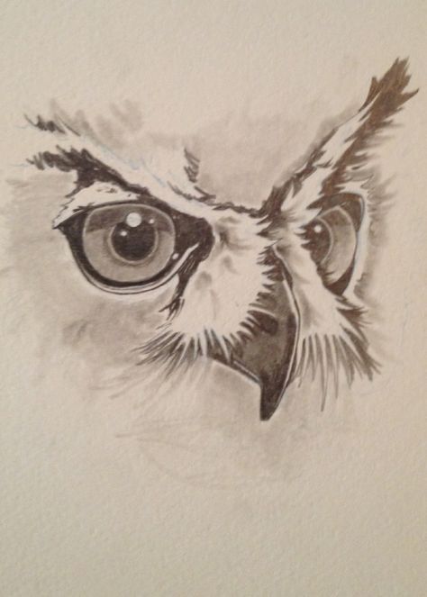 Owl Eyes Drawing, Feathers Drawing, Owl Eye Tattoo, Drawing Owl, Owl Feathers, Owl Sketch, Drawing Steps, Owl Drawing, Crazy Tattoos